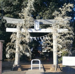 『氷川神社』
