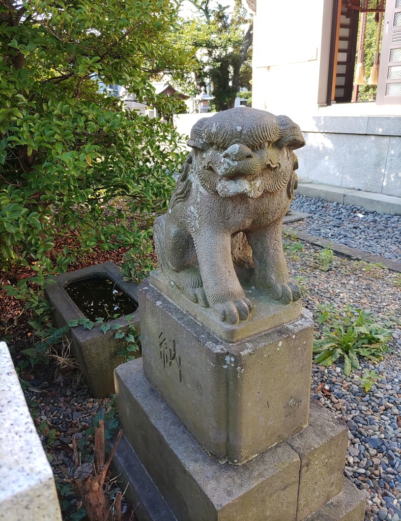 [狛犬]左