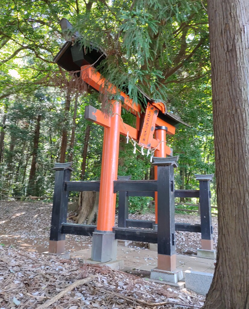 [神社]氷川