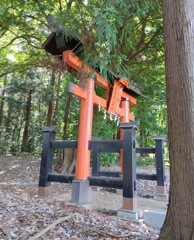 [神社]氷川