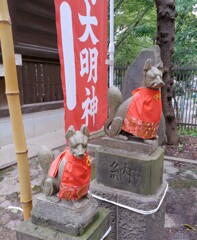 [神使]狐