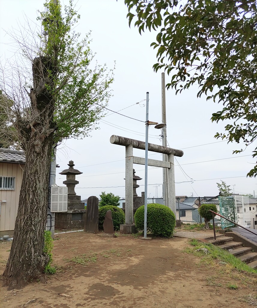 [諏訪神社]