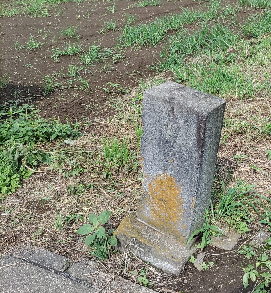 【街中】馬頭観音