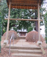 [氷川神社]