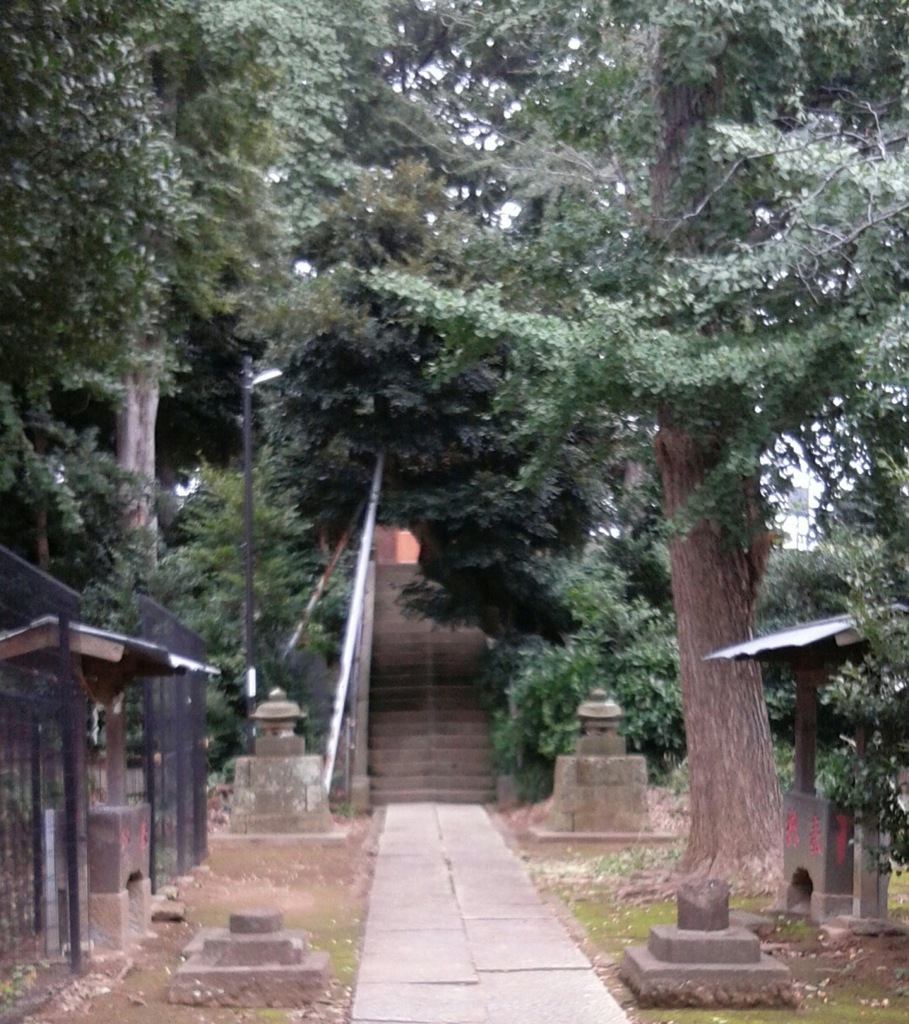 [径風景]