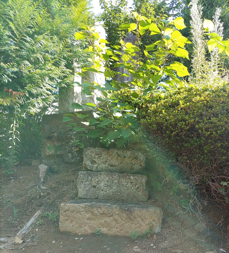 【径】登