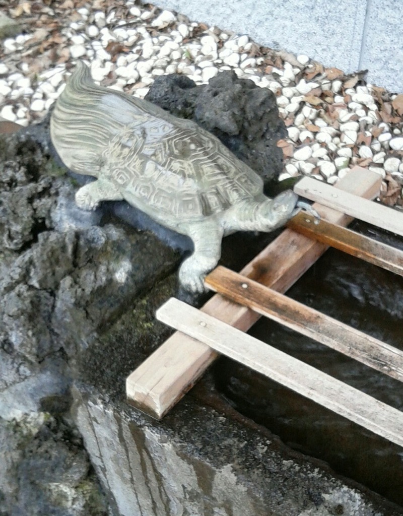 [ｵｳﾞｼﾞｪ]亀