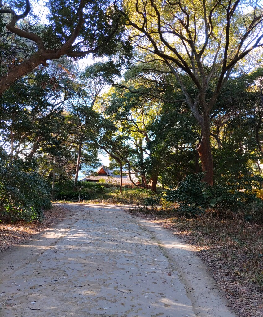[径風景]