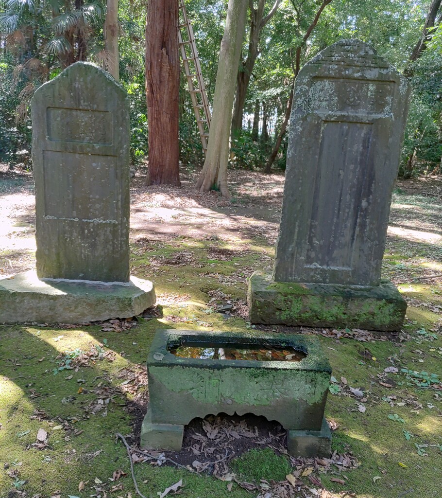 【水】手水鉢