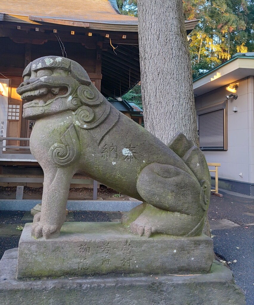 [狛犬]右