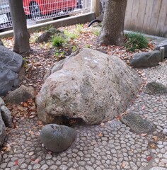 [ｵｳﾞｼﾞｪ]