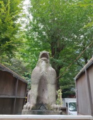 [狛犬]右