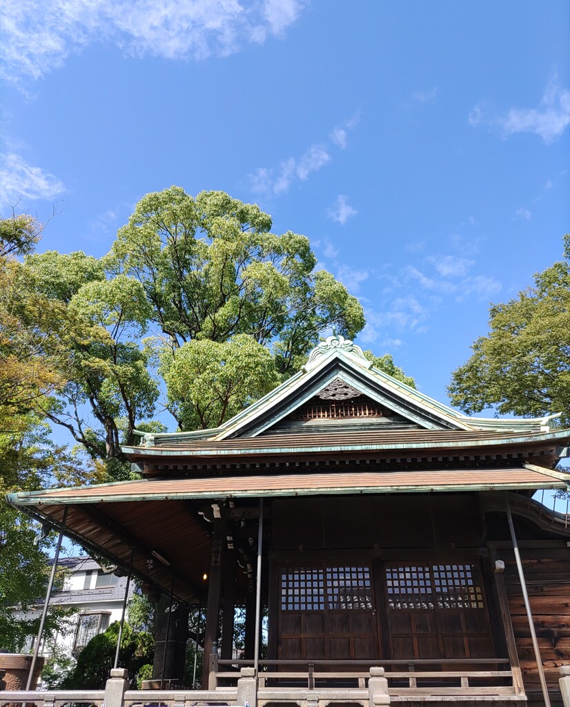 [神社]氷川