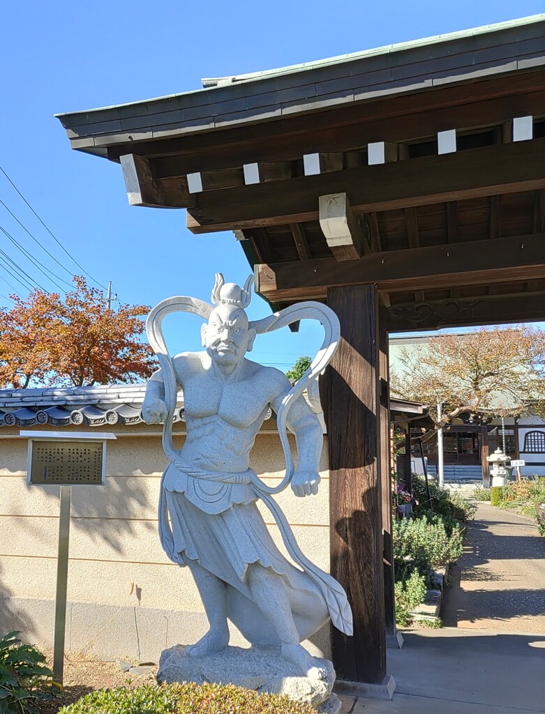 【ｵｳﾞｼﾞｪ】仁王