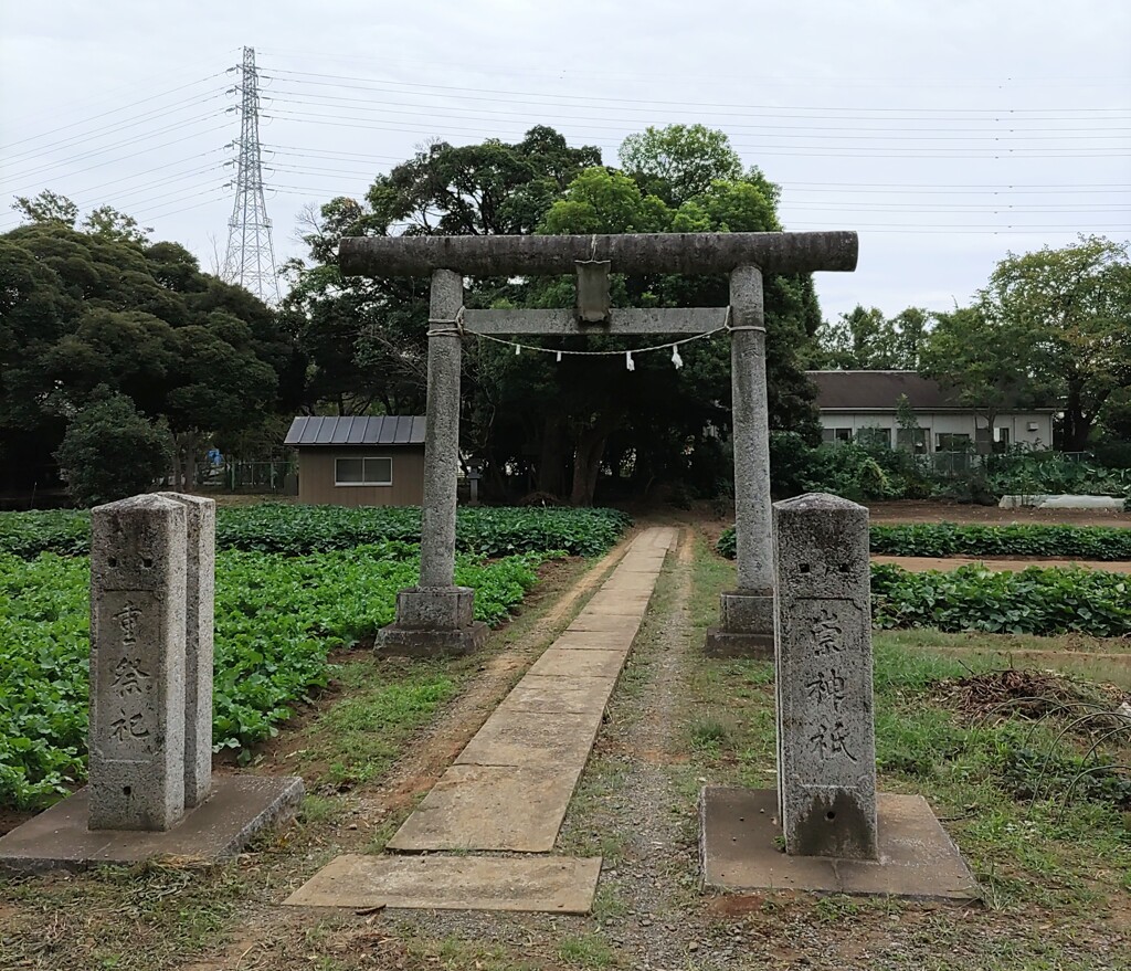 [八雲神社]