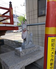 [神使]狐