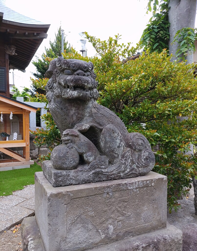 [狛犬]右