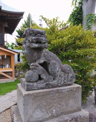 [狛犬]右