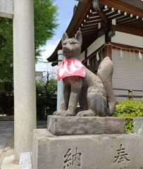 [狐神使]