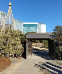 [通]門