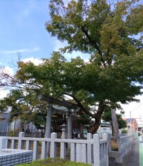 [稲荷神社]