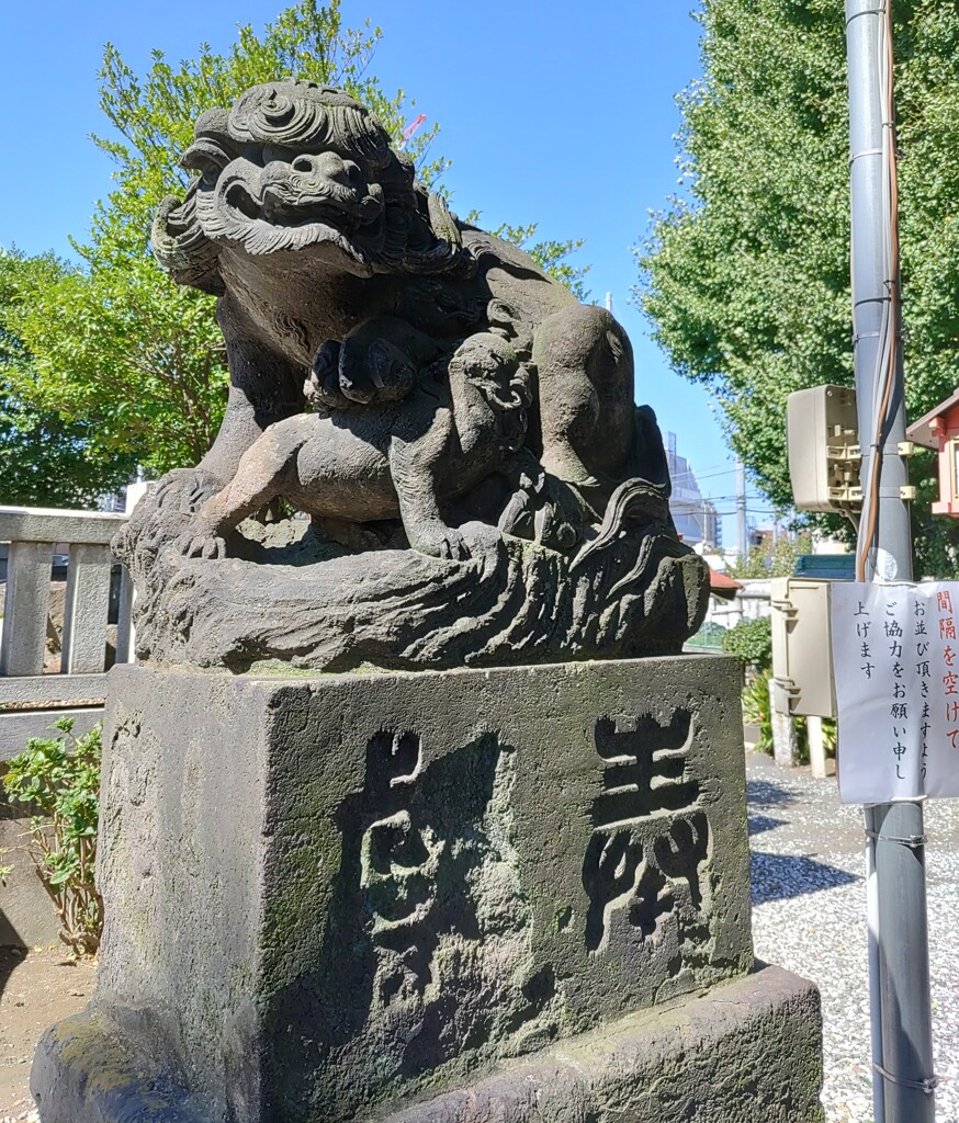 [狛犬]右