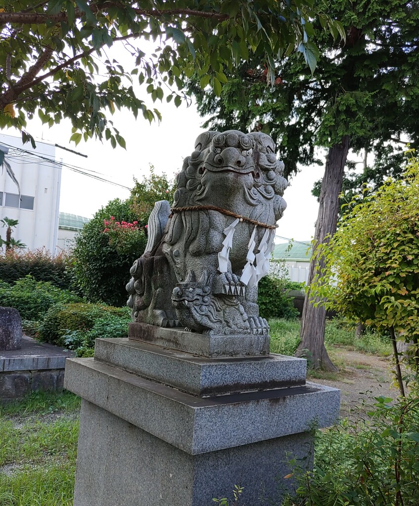 [狛犬]左