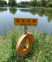 [救命浮環]