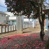 ｢ﾂﾊﾞｷ｣