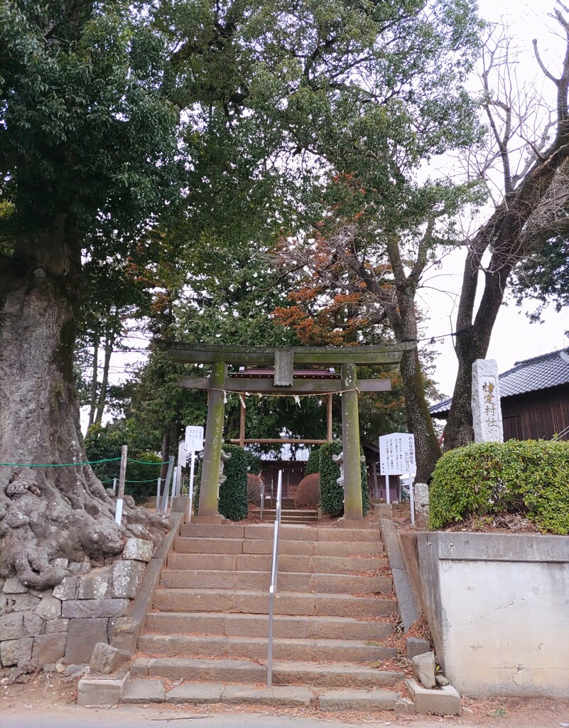 [氷川神社]