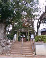 [氷川神社]