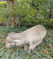 [ｵｳﾞｼﾞｪ]