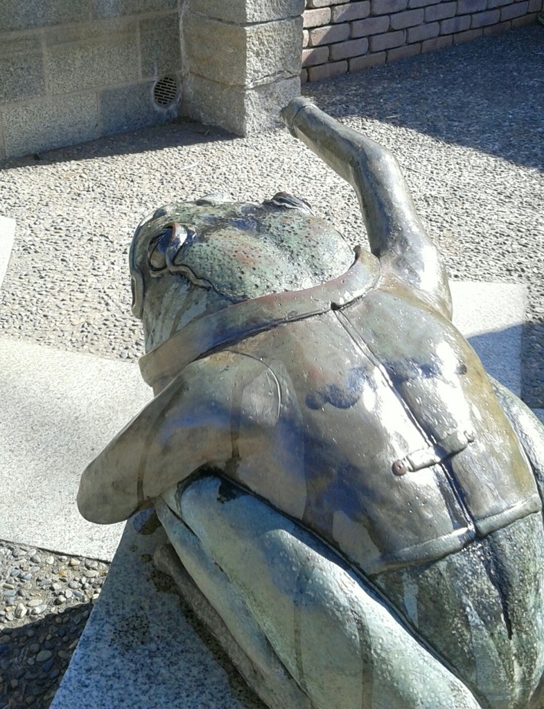 [ｵｳﾞｼﾞｪ]蛙