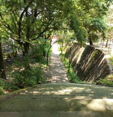 [径風景]