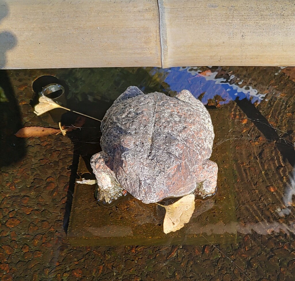 [手水]蛙
