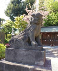 [狛犬]左