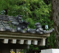 [飾り瓦]