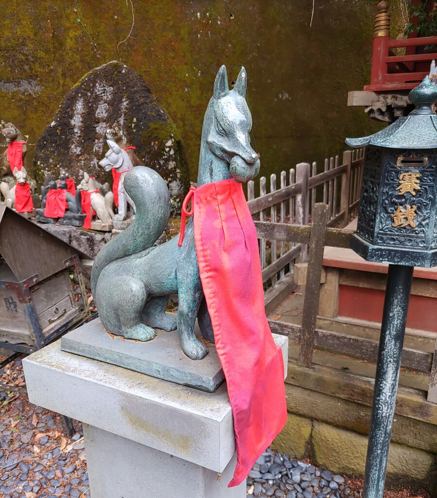 [神使]狐