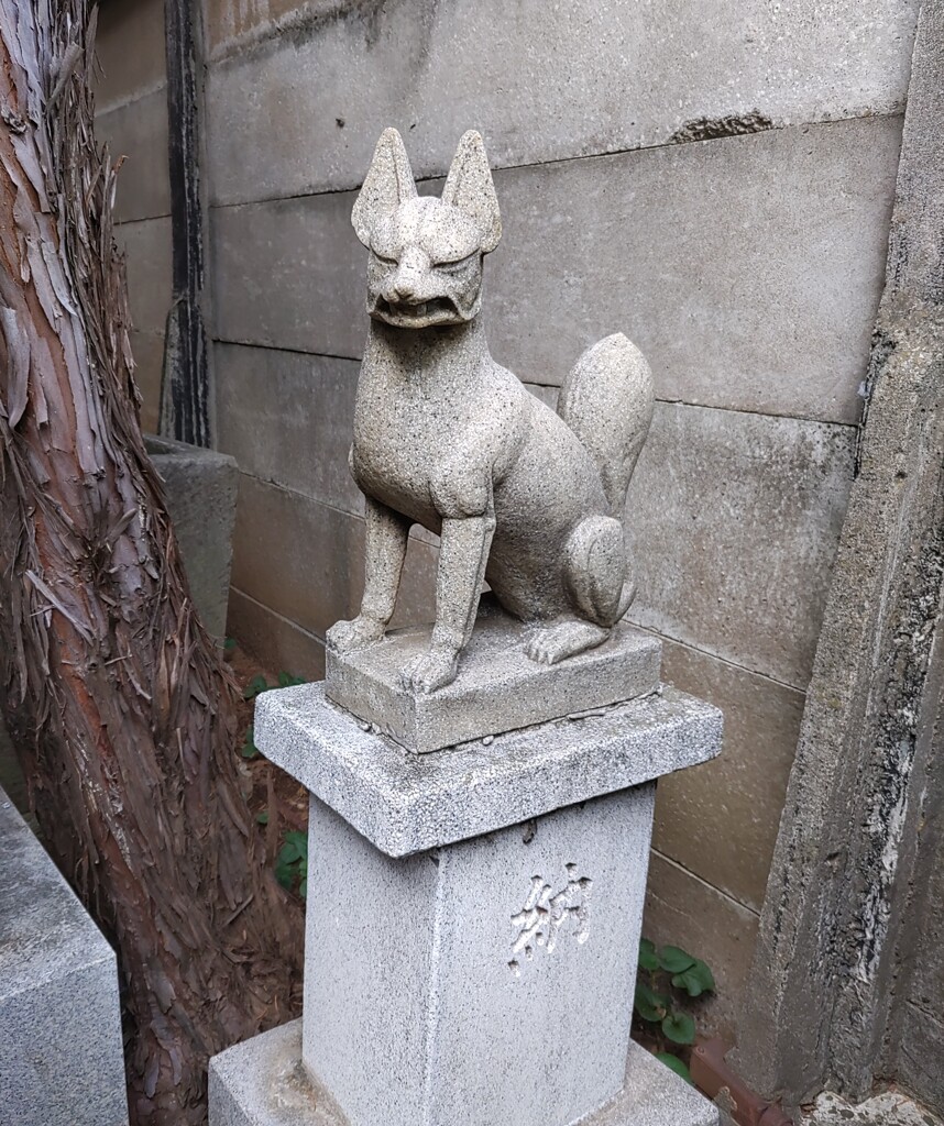 [神使]狐