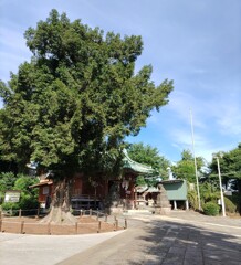 [神社]諏訪