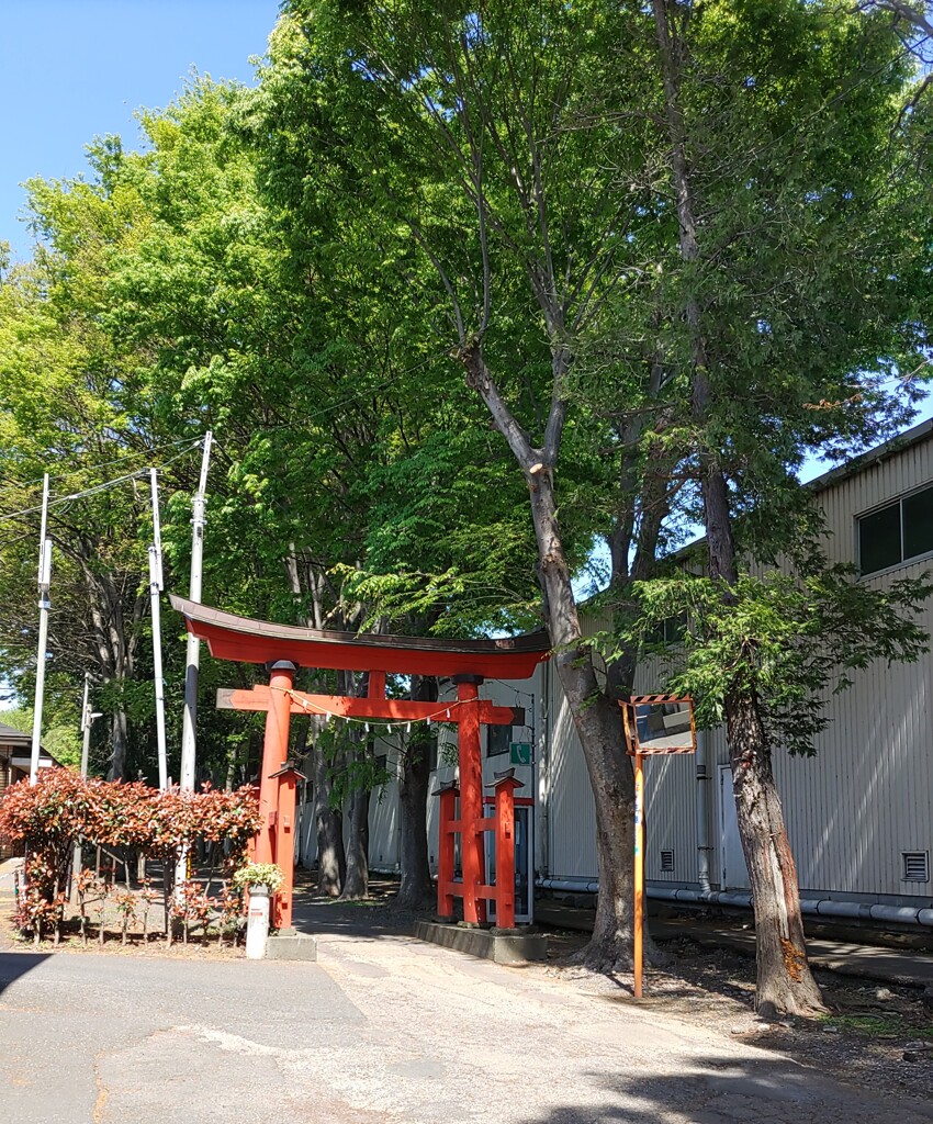 [神社]大門
