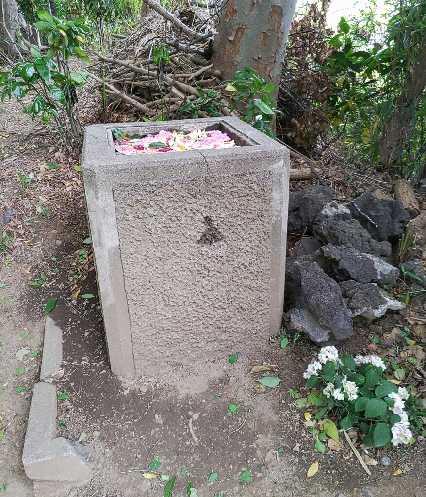 [水盤]
