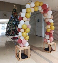 [ｸﾘｽﾏｽ･ﾂﾘｰ]