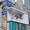 [掲示板]