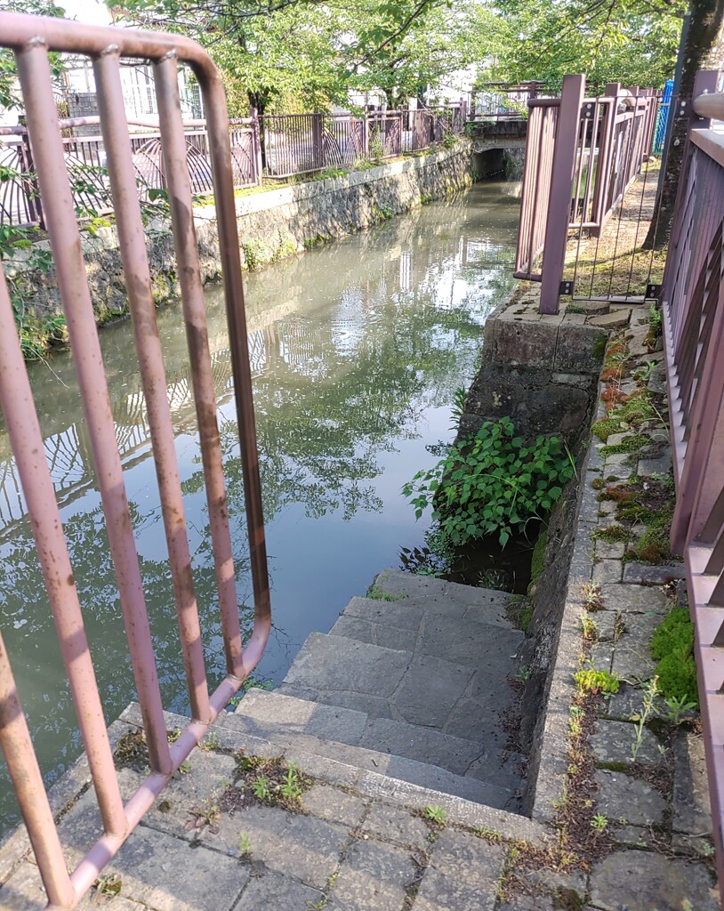 『水路』