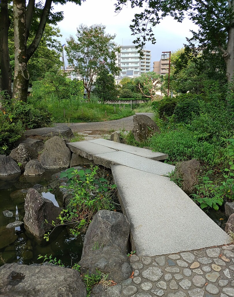 [径風景]
