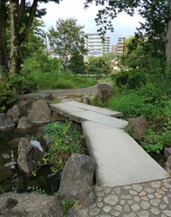 [径風景]