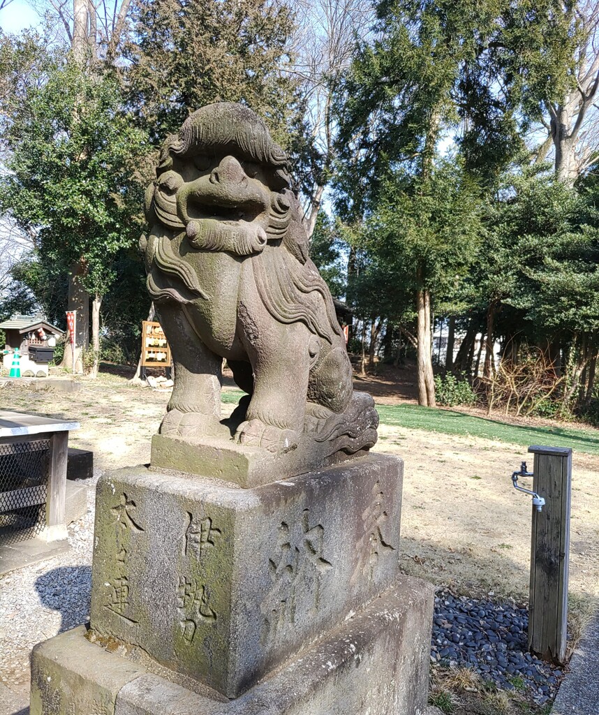 [狛犬]右