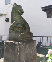 [神使]狐