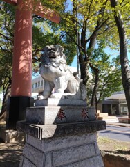 [狛犬]右